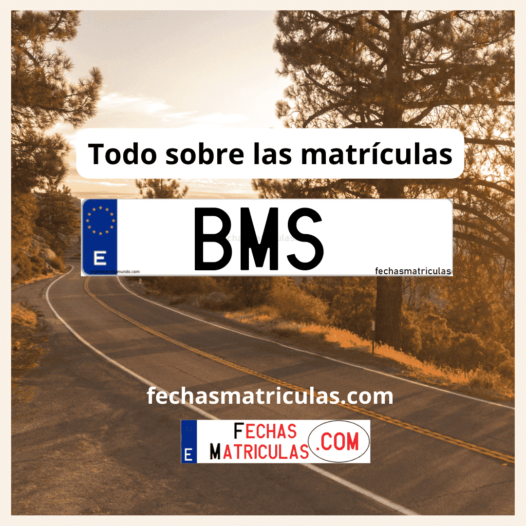 Matrícula de coche BMS