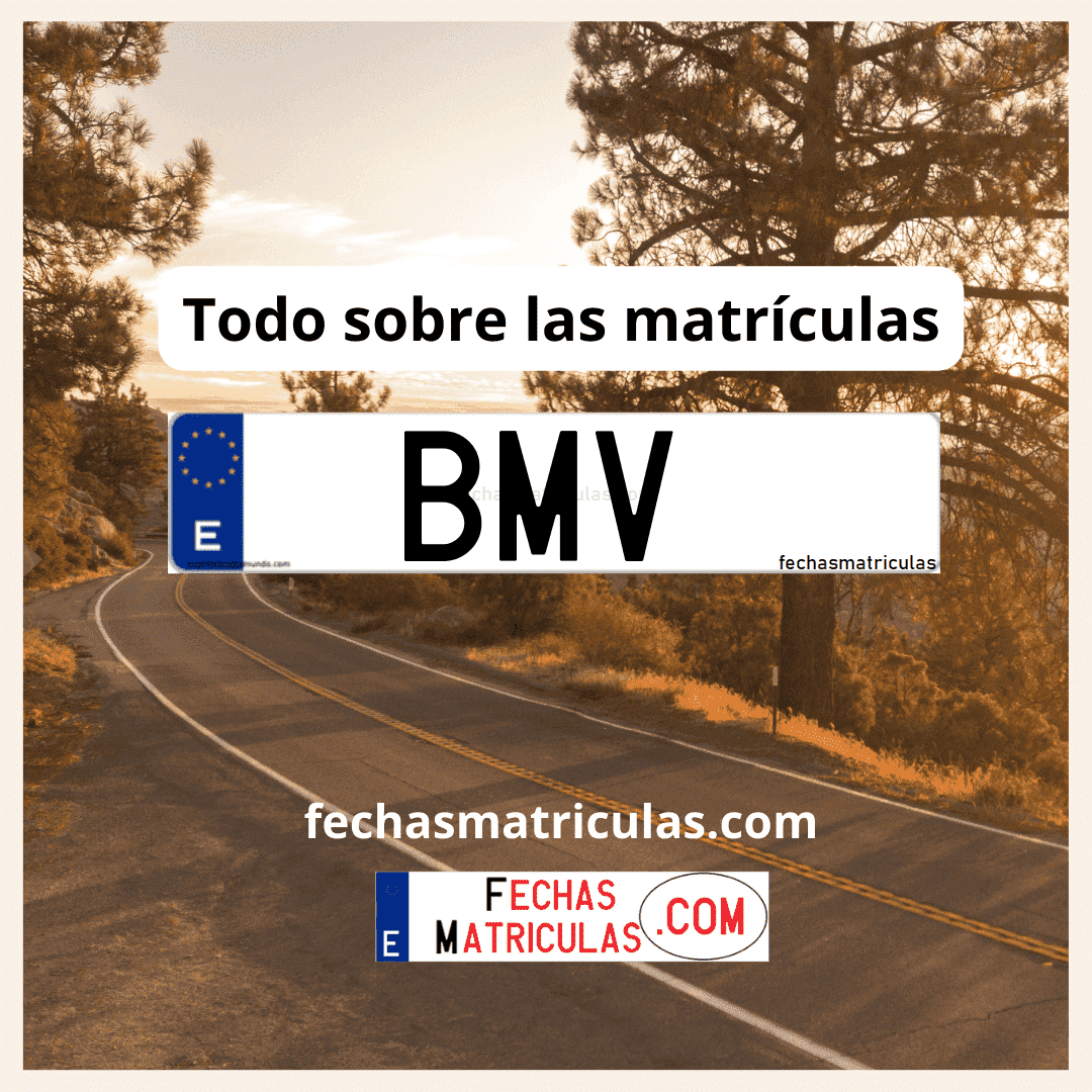 Matrícula de coche BMV