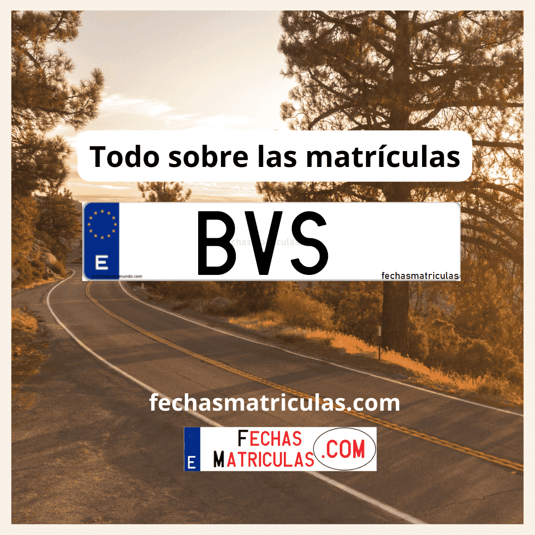 Matrícula de coche BVS