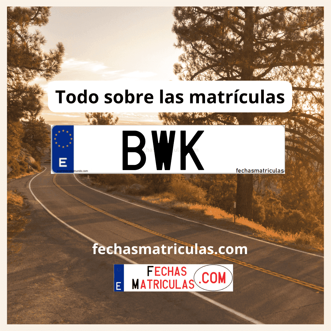 Matrícula de coche BWK