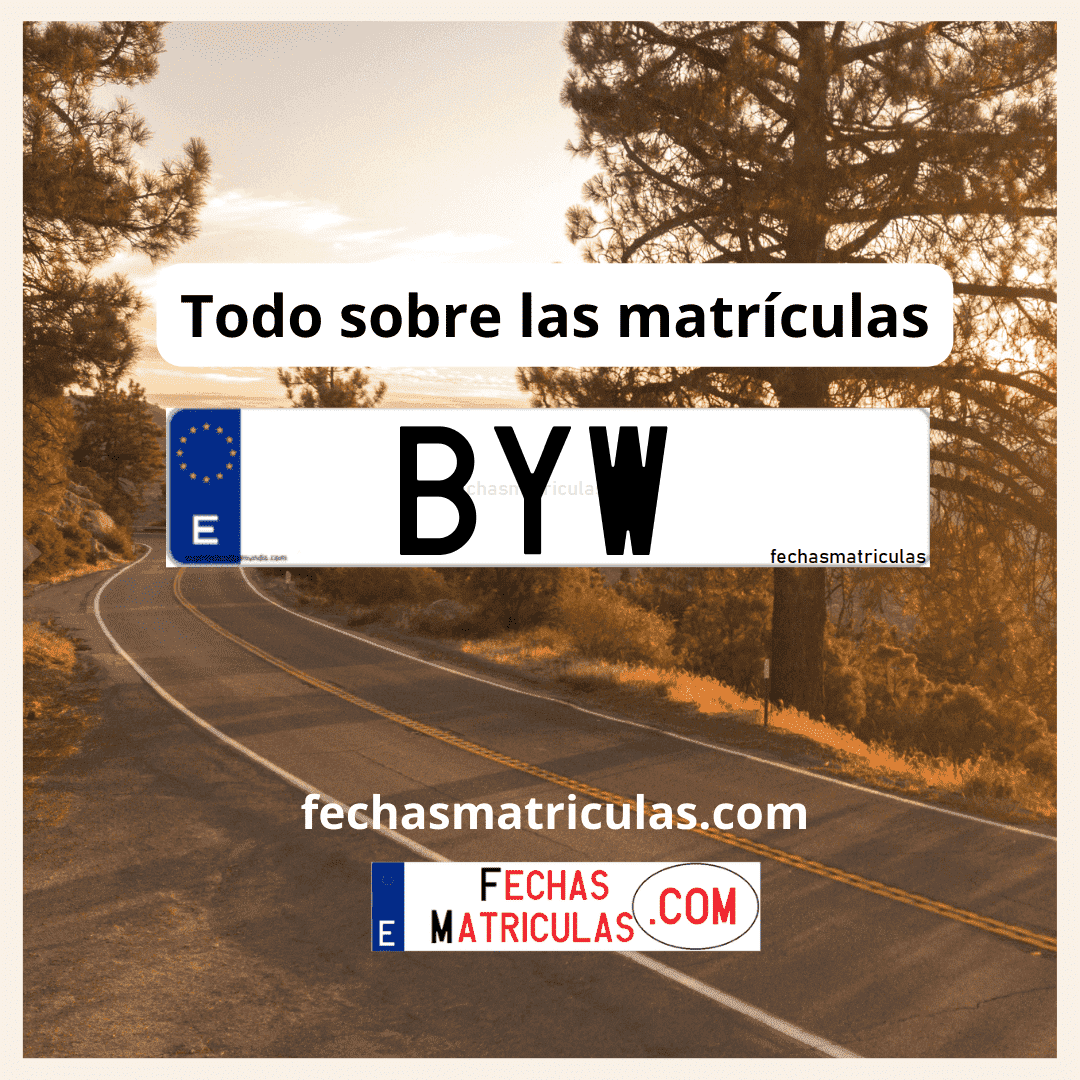 Matrícula de coche BYW