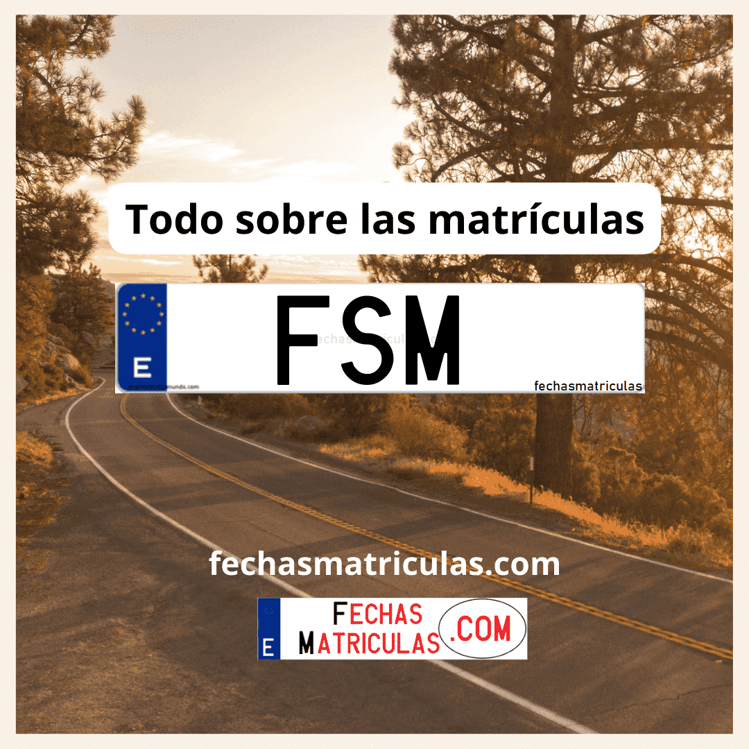 Matrícula de coche FSM